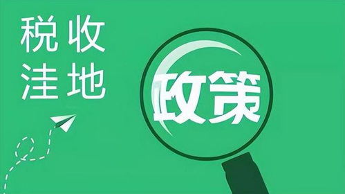 关于个独核定征收能否申请及信息技术咨询服务最新消息解析